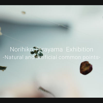 Norihiko Terayama Exhibition -Natural and artificial common points-